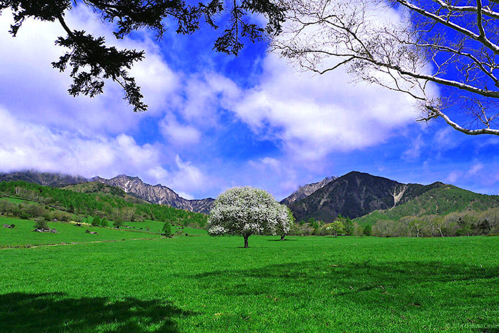 山梨県立八ヶ岳牧場天女山分場