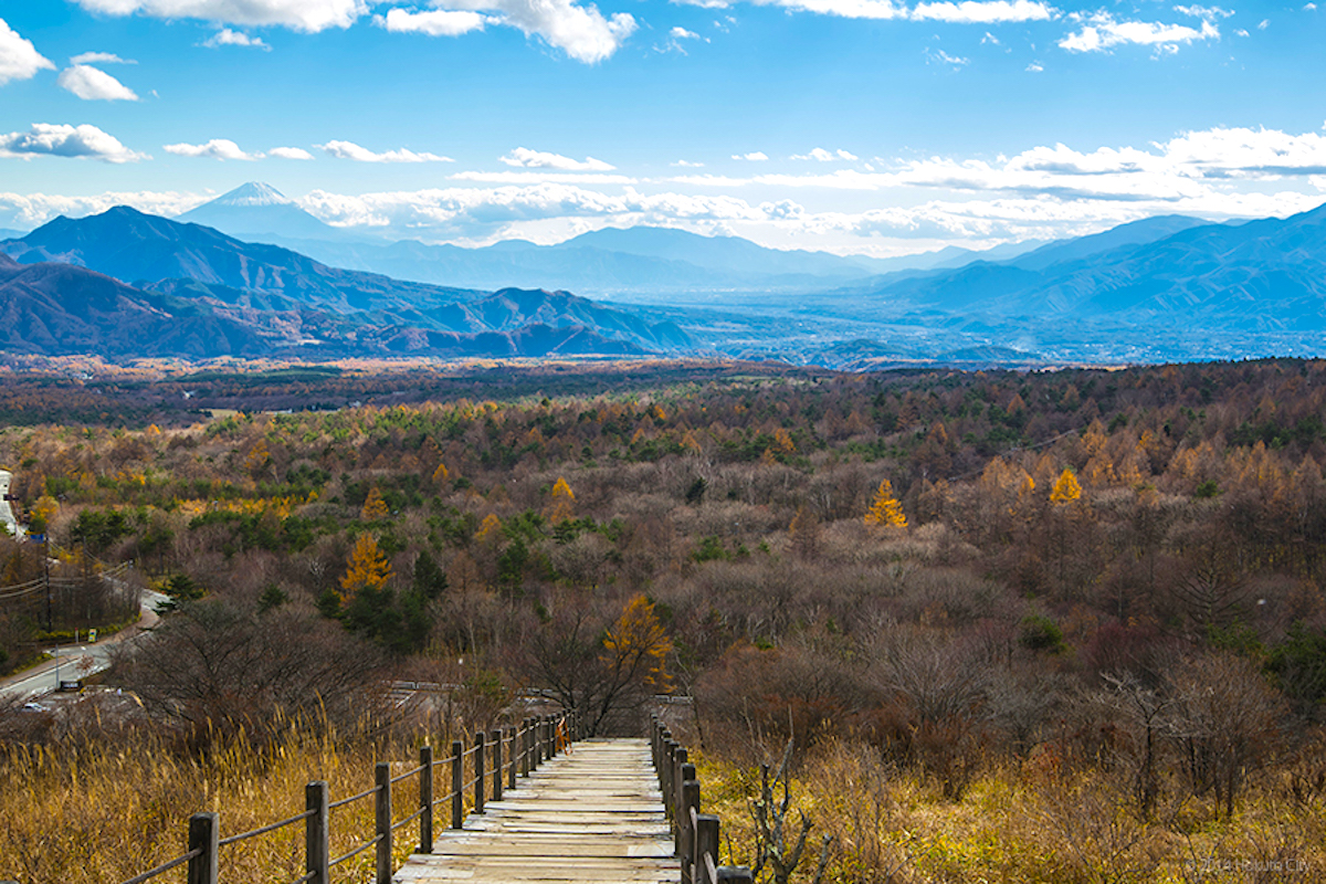 美森山