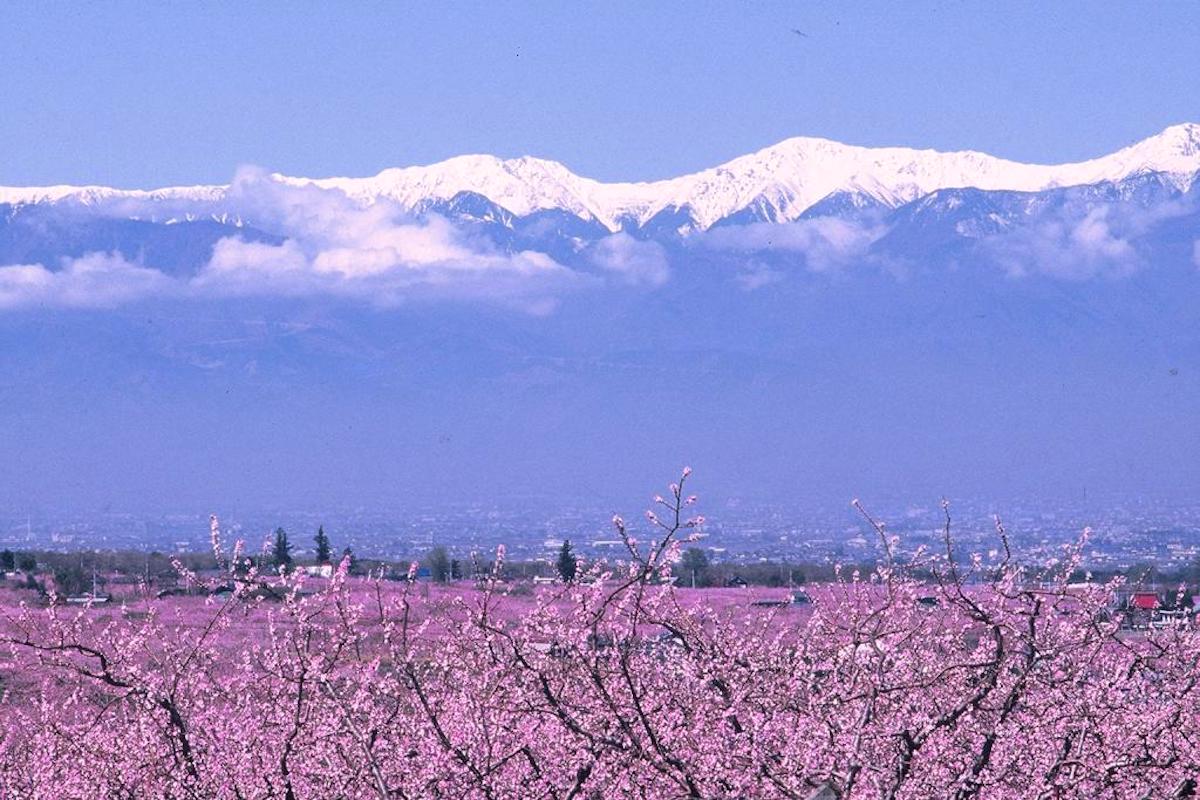 南アルプス市桃源郷