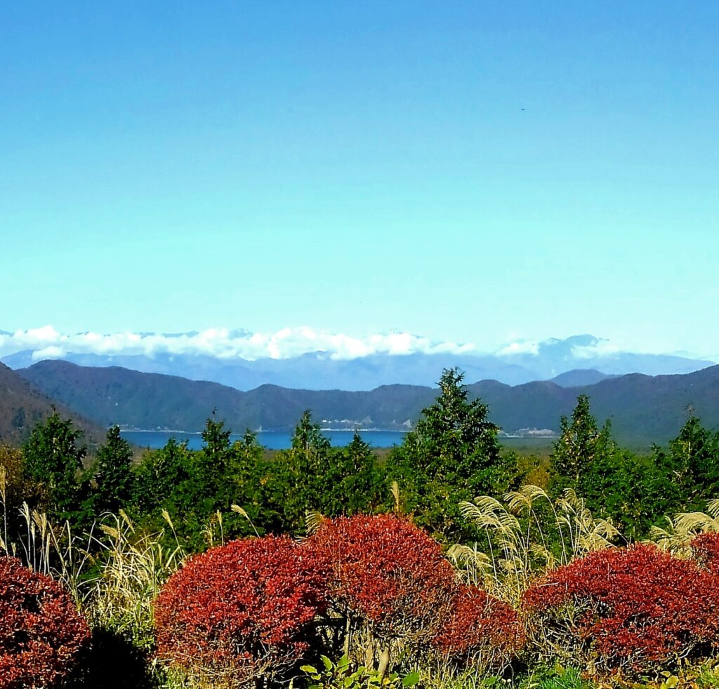 山梨県道・静岡県道71号富士宮鳴沢線