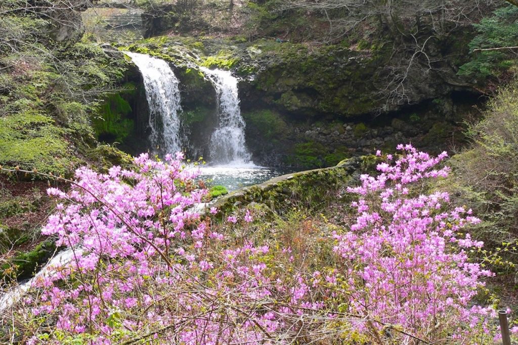 鐘山の滝