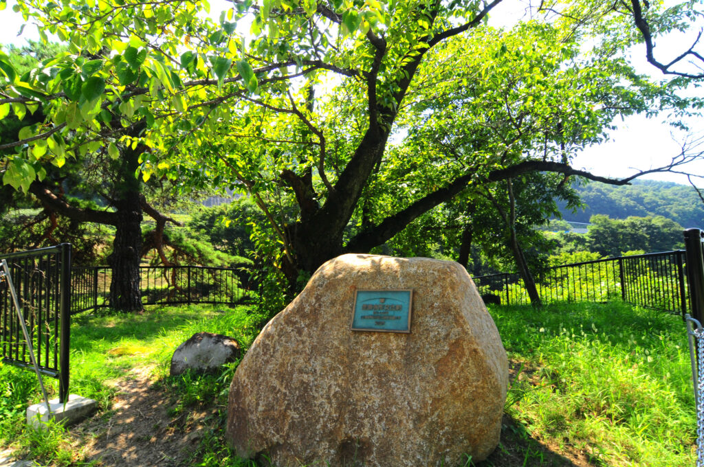 勝沼堰堤（祇園の滝）