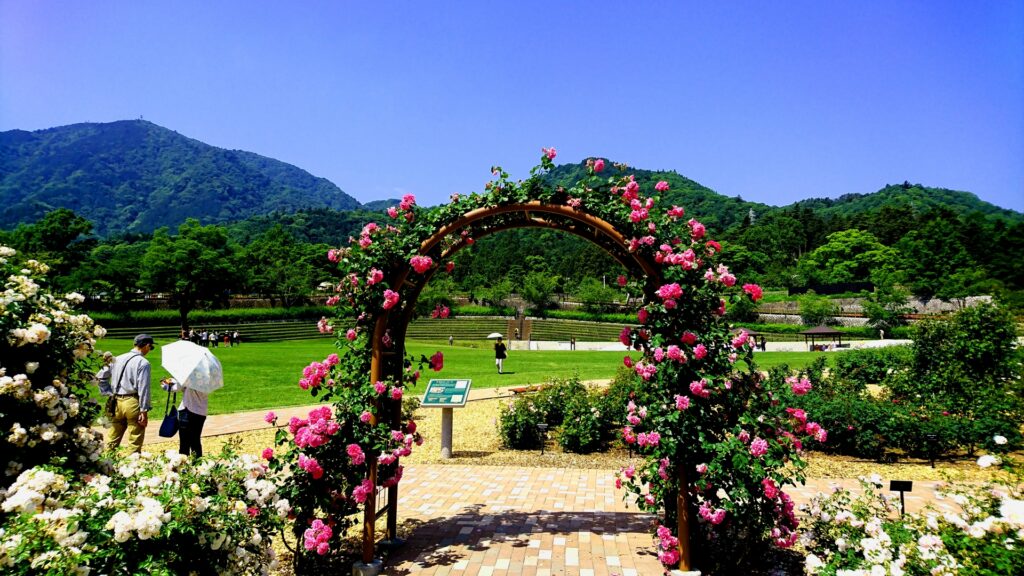 山梨県富士川クラフトパーク