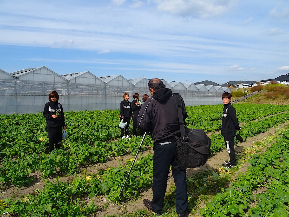 みんなみの里での食用菜花狩の収録風景