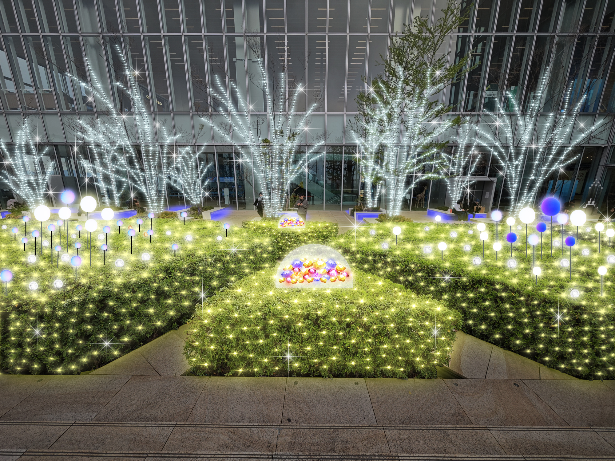 天空のイルミネーション2025