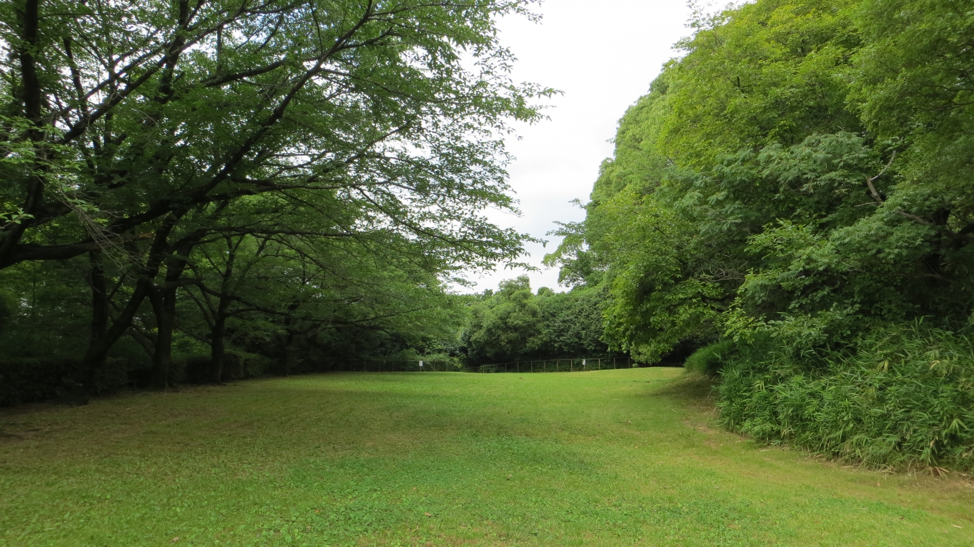 大高城