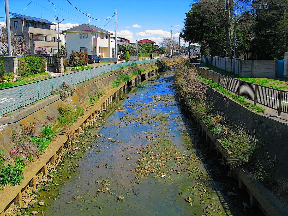 江戸湾に流れ出たかつての利根川は会の川として現存