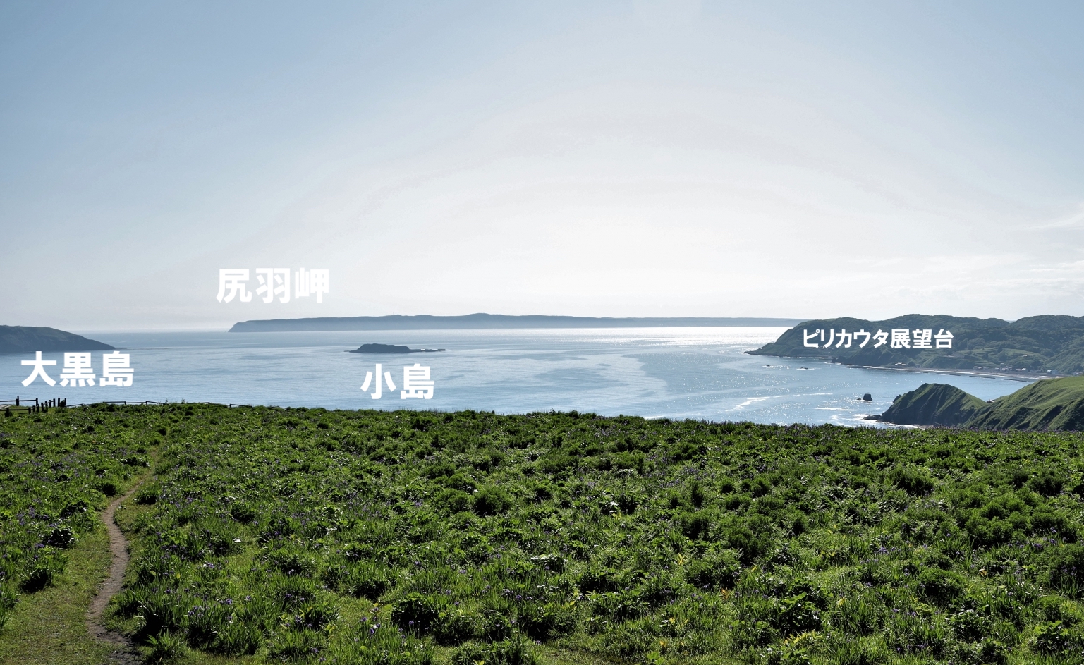 小島