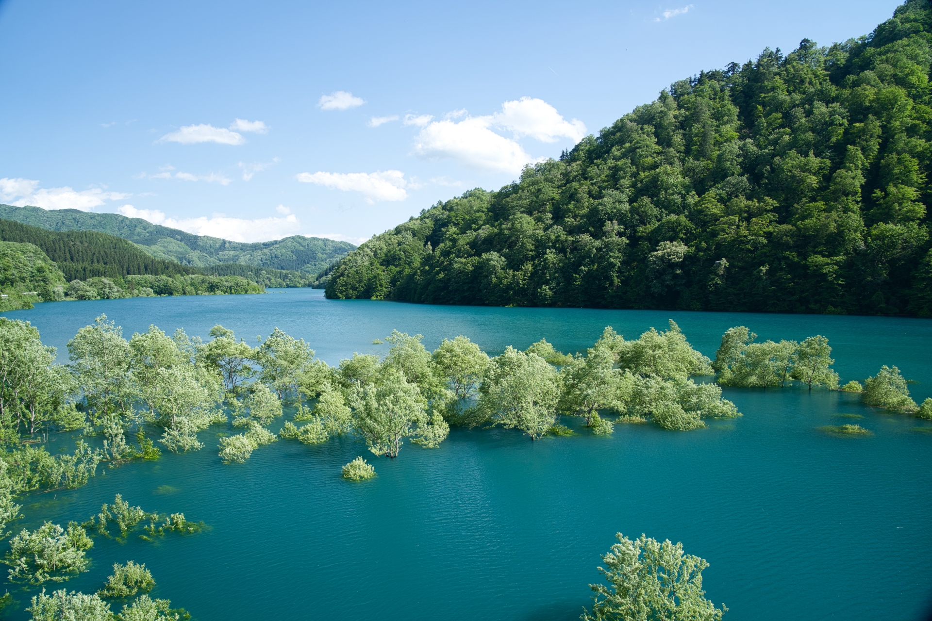 秋扇湖・水没林