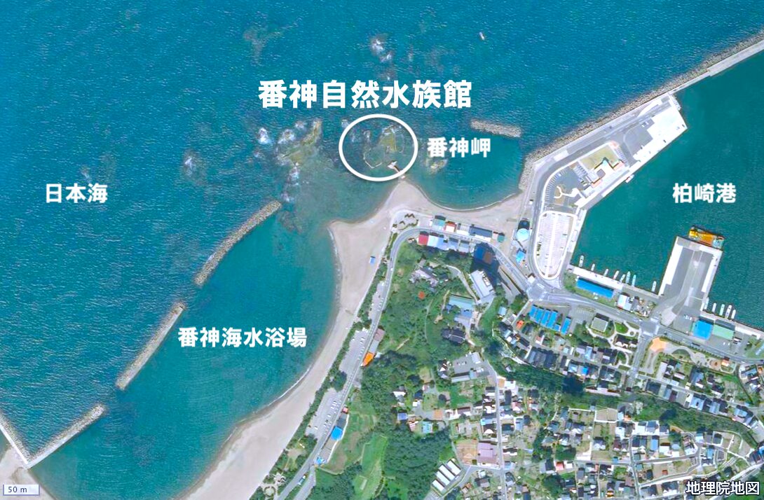 番神自然水族館