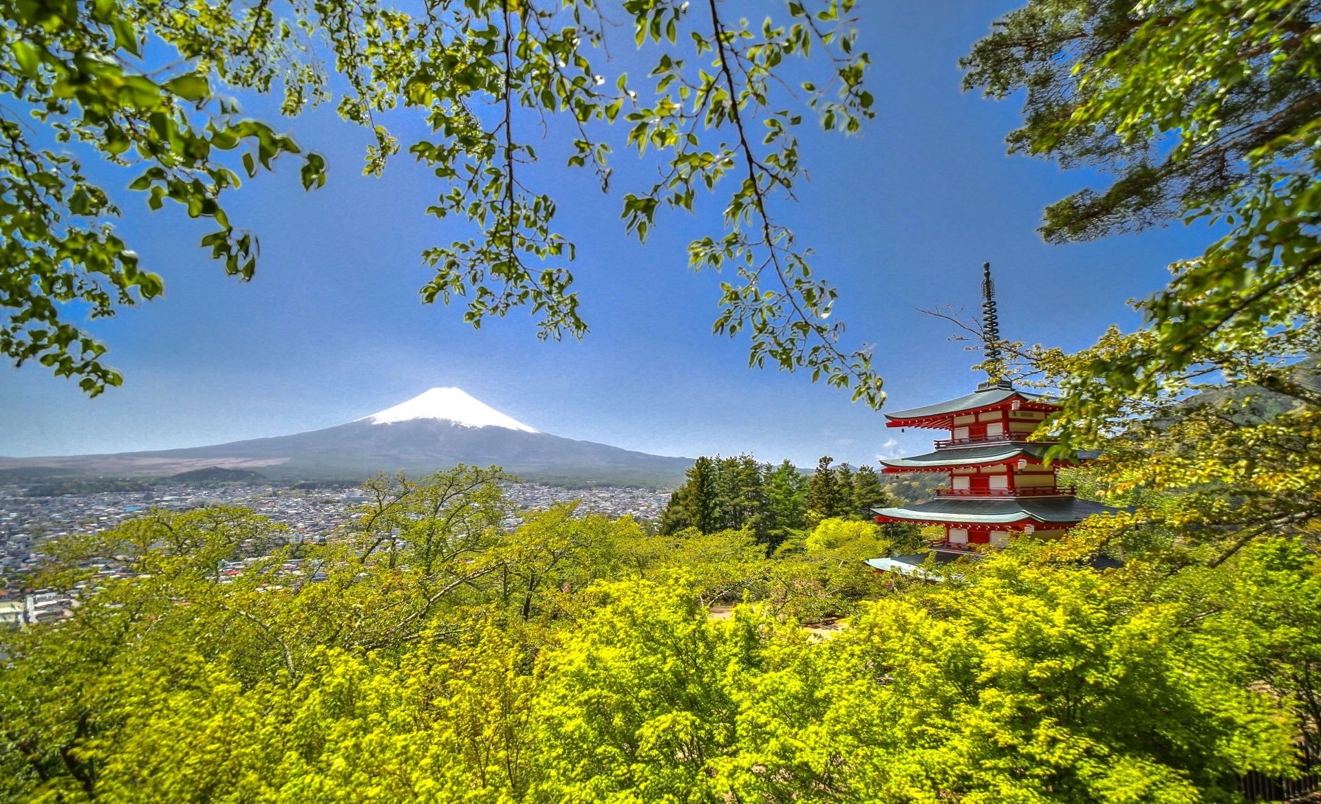 新倉山浅間公園