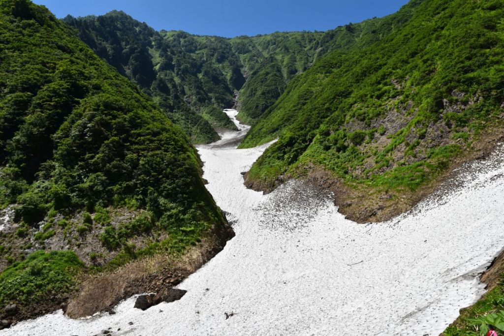 荒沢岳万年雪