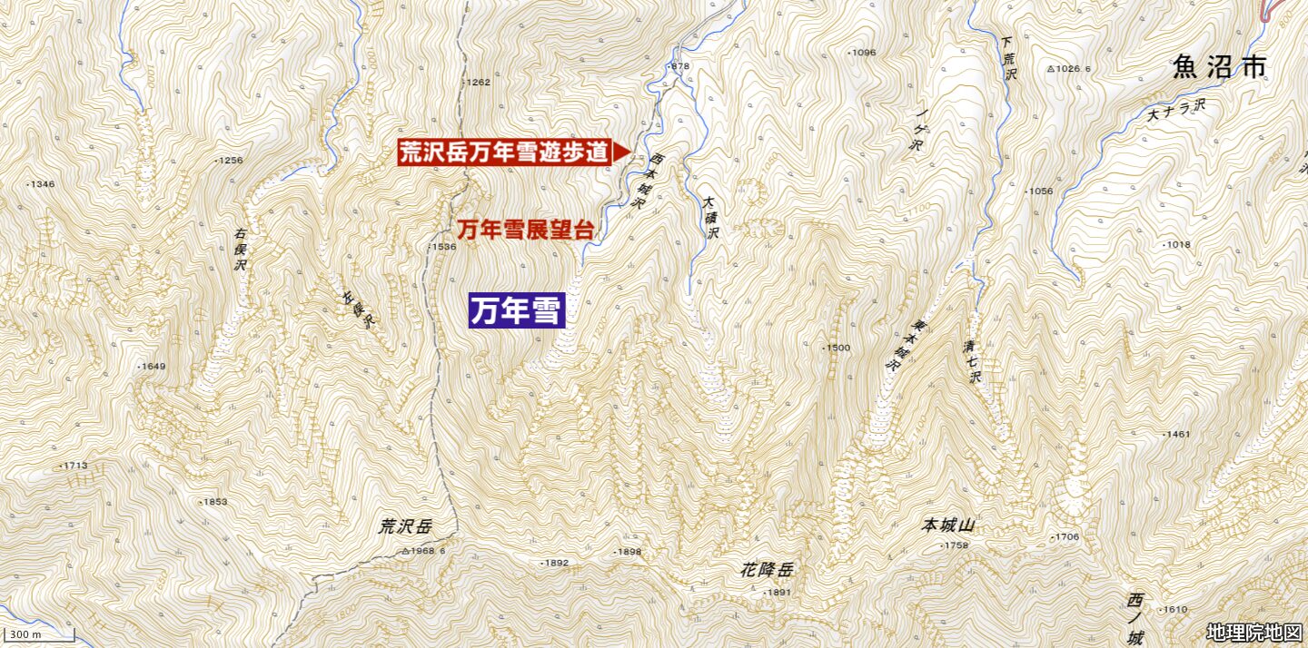 荒沢岳万年雪