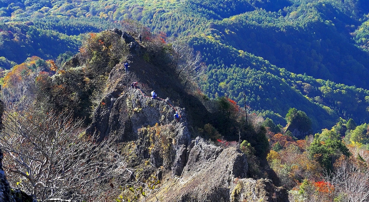 蟻の塔渡り