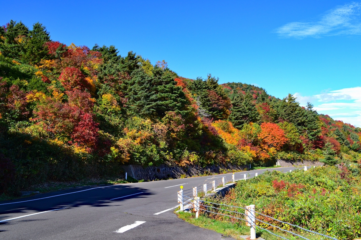 磐梯吾妻スカイライン・紅葉