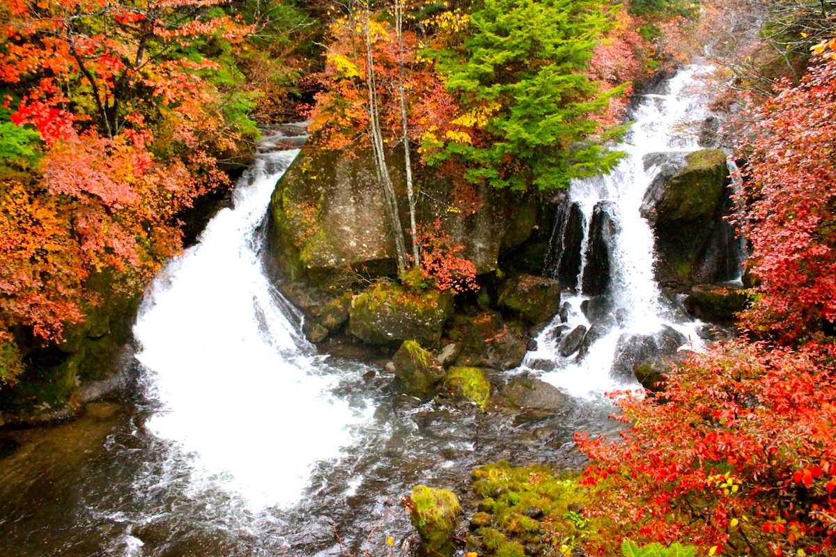 竜頭の滝・紅葉