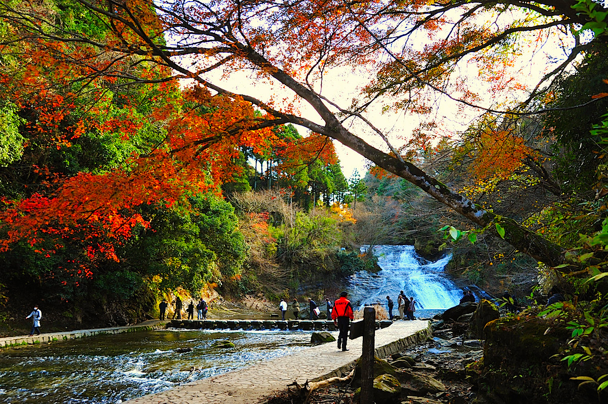 粟又の滝