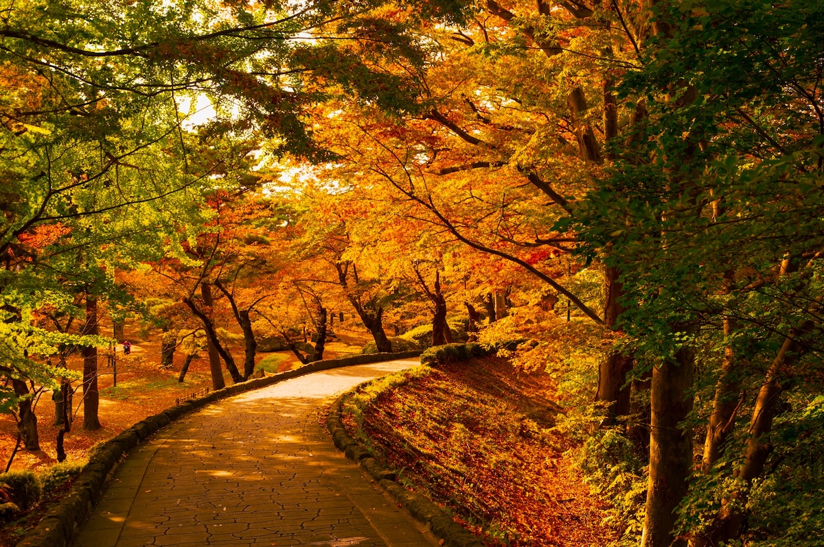 久保田城跡（千秋公園）