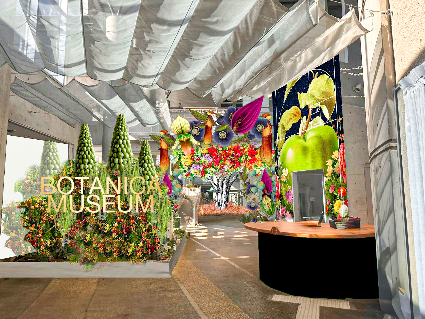BOTANICA MUSEUM（ボタニカ ミュージアム）