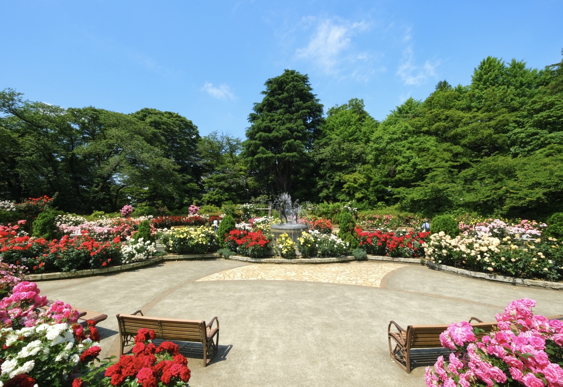 里見公園（国府台城跡）