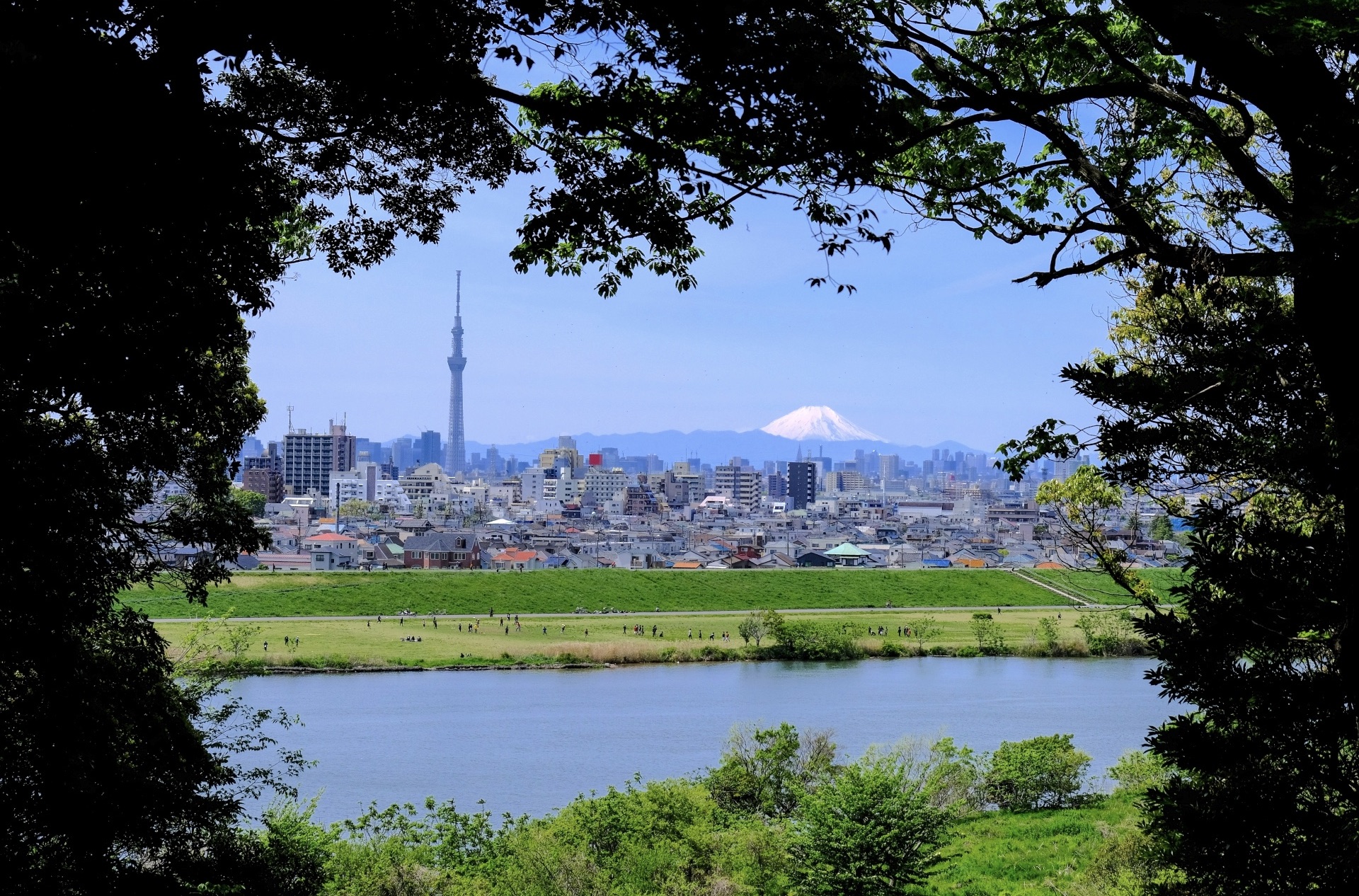 里見公園（国府台城跡）