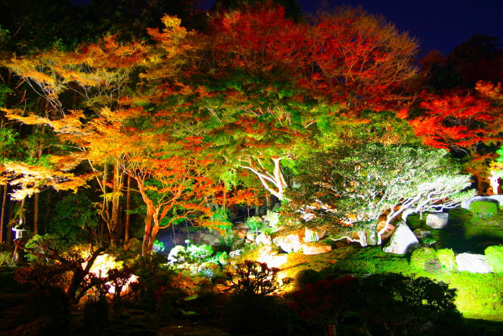 旧竹林院『紅葉ライトアップ』