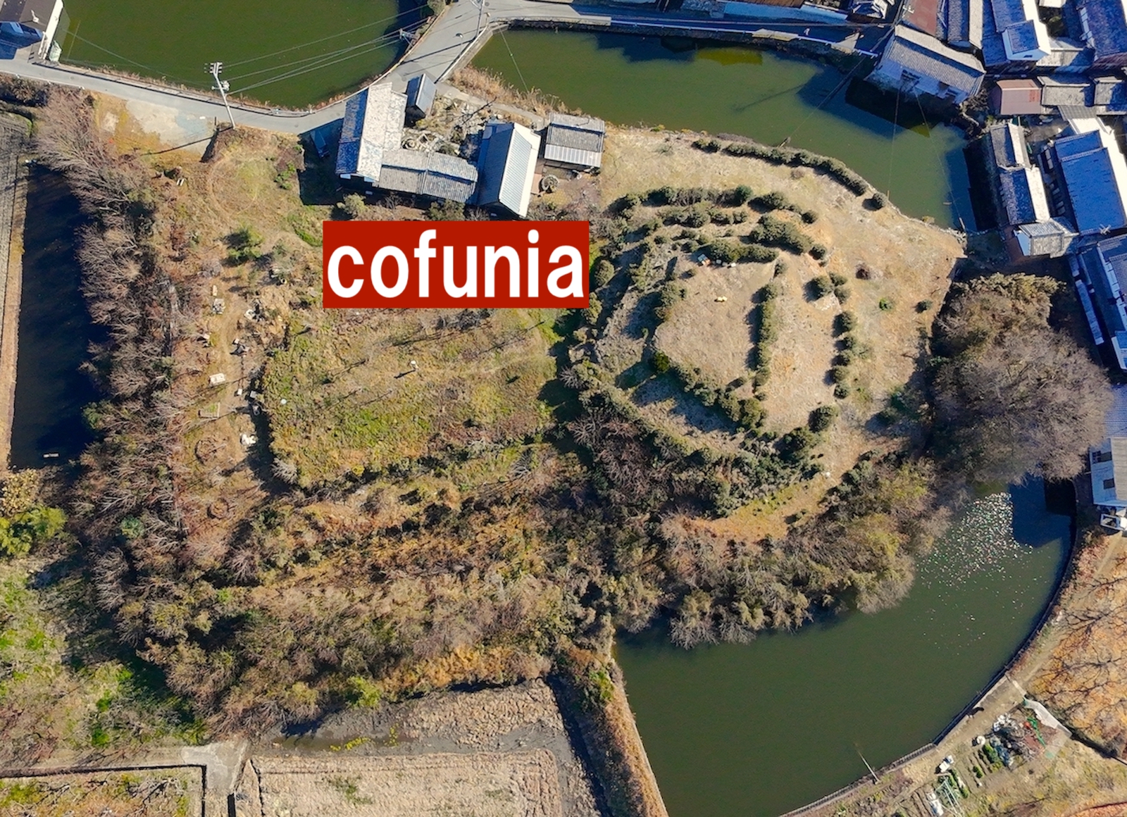 cofunia