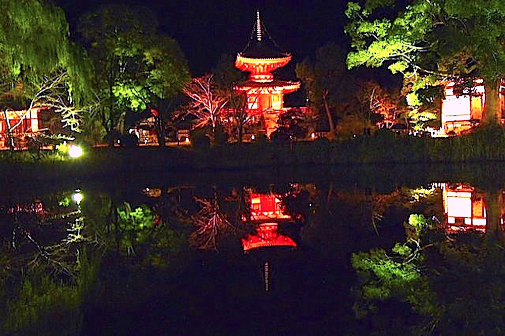 大覚寺大沢池ライトアップ『真紅の水鏡』（夜間特別拝観）｜京都市｜2019