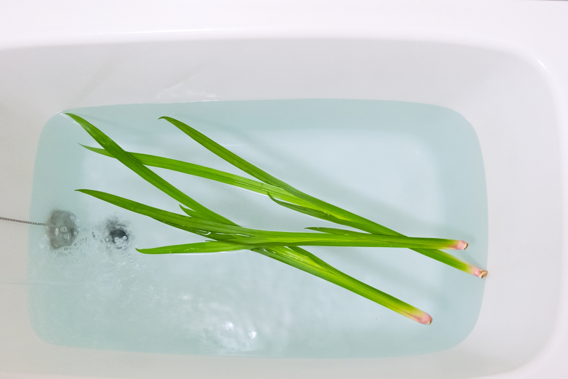 菖蒲湯