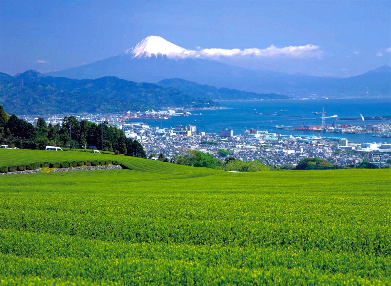 日本平からの富士山