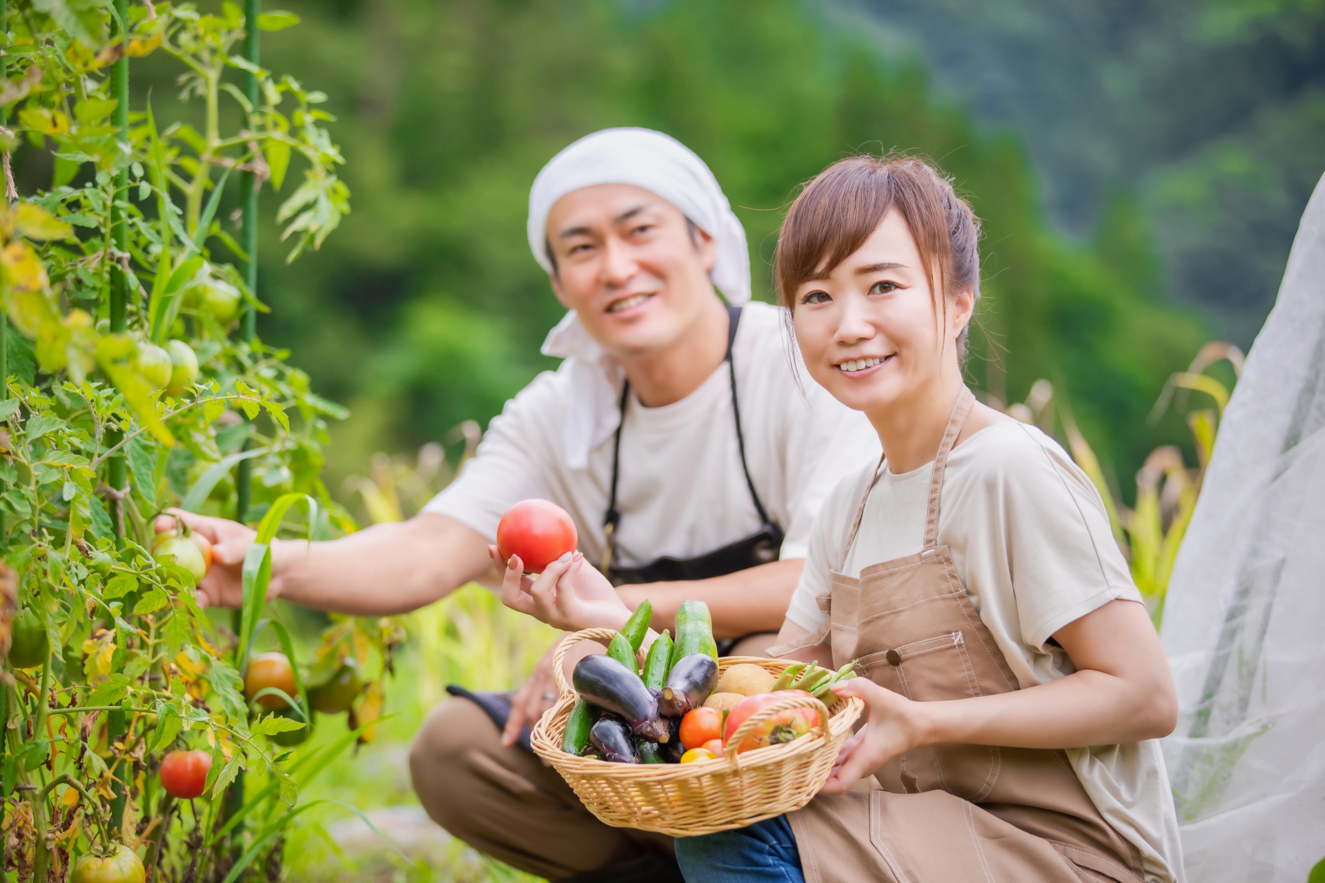 野菜の日