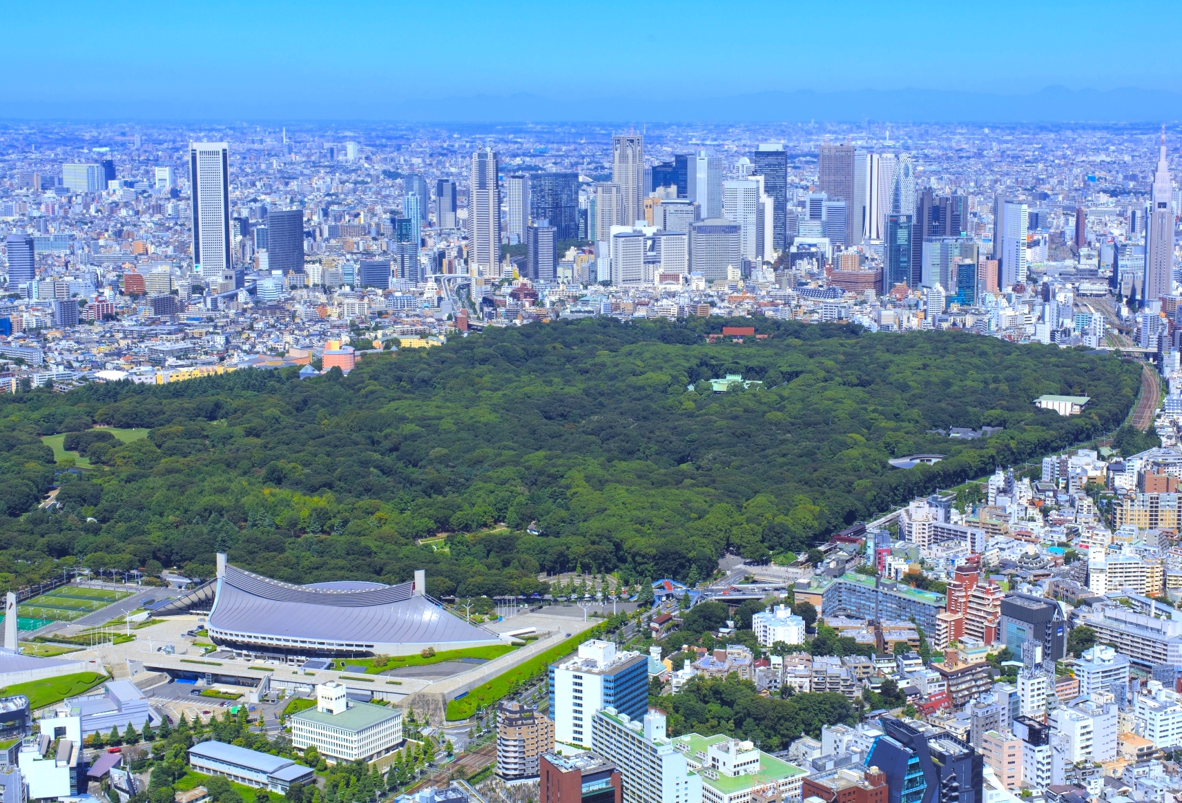 代々木公園