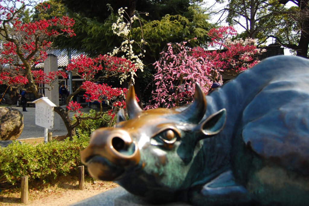道明寺天満宮梅まつり