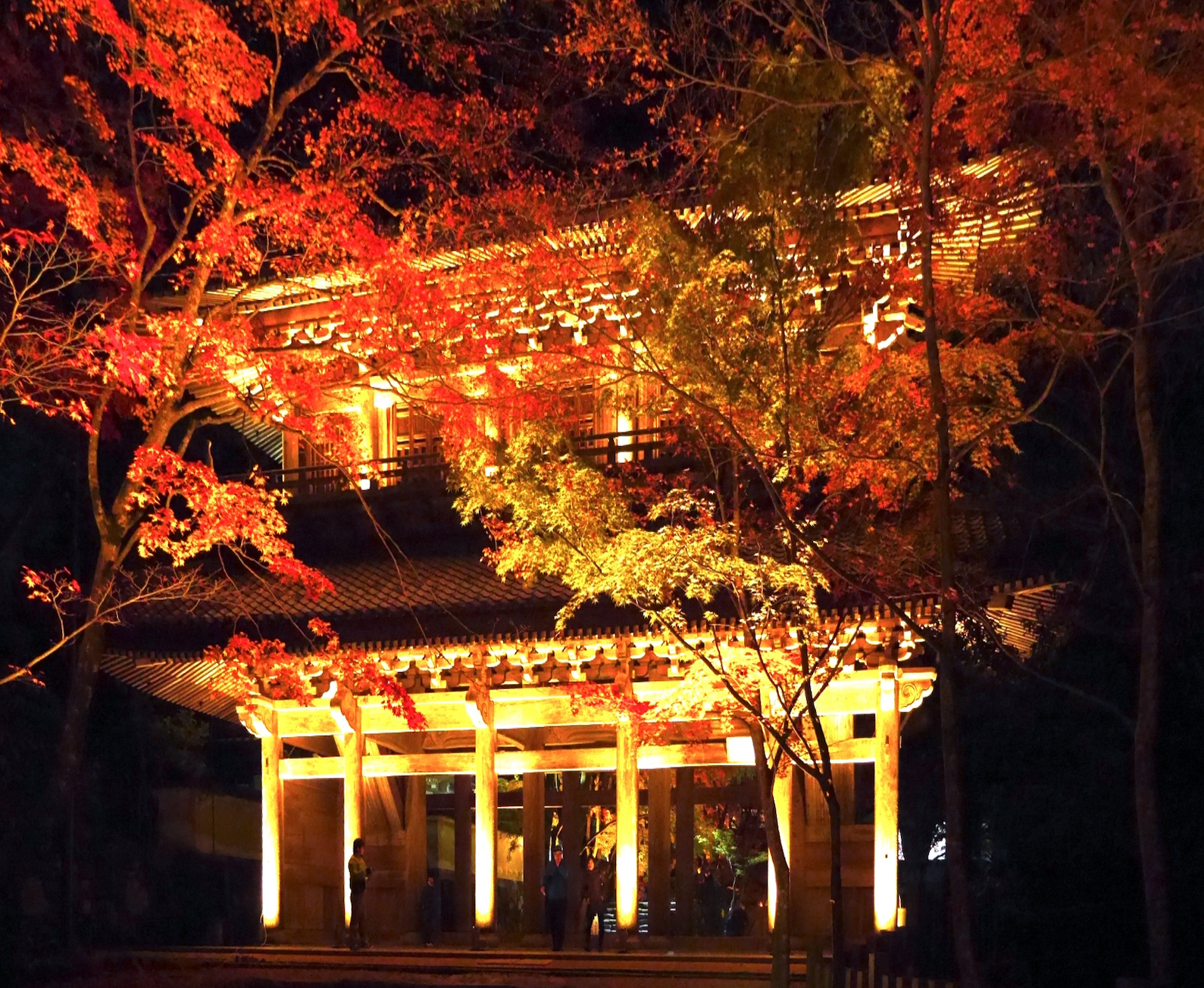 永源寺・紅葉ライトアップ