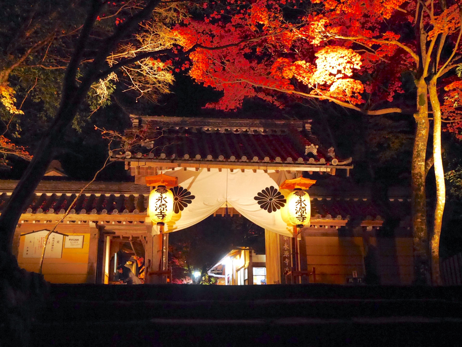 永源寺・紅葉ライトアップ