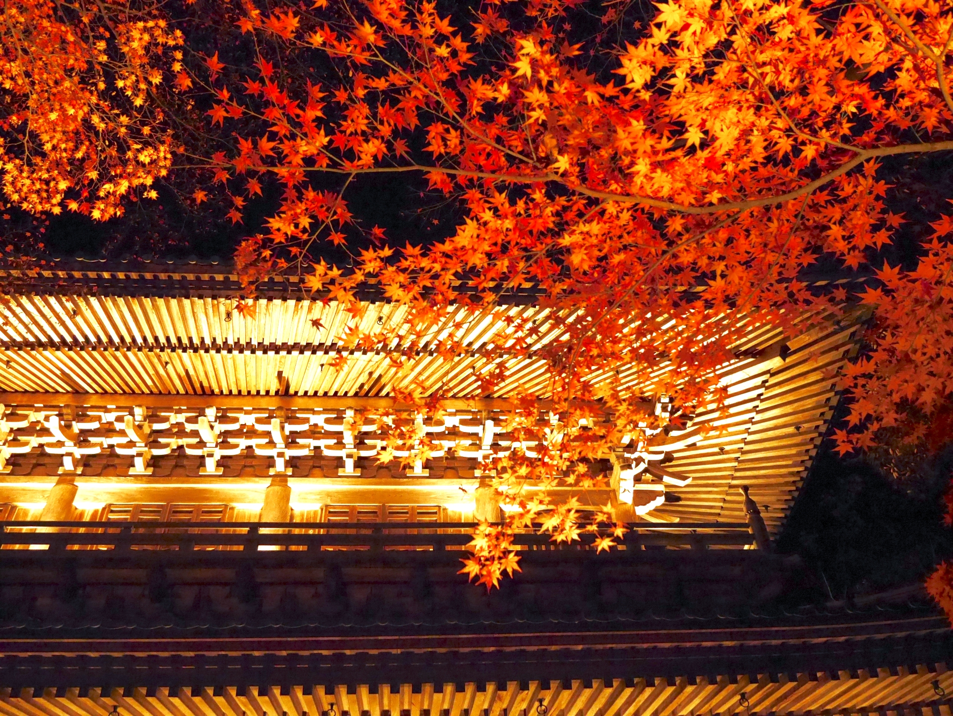 永源寺・紅葉ライトアップ