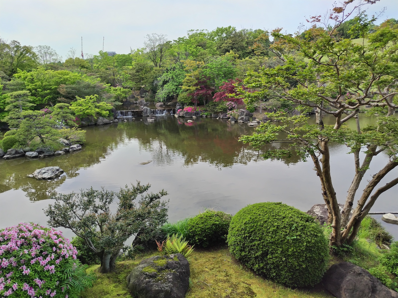 万博記念公園・日本庭園