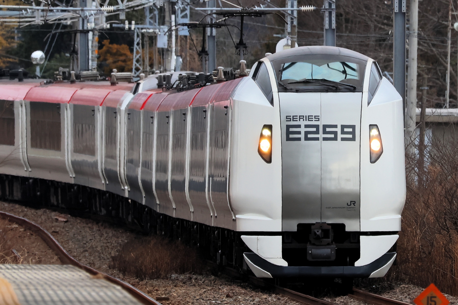 E259系「成田エクスプレス」