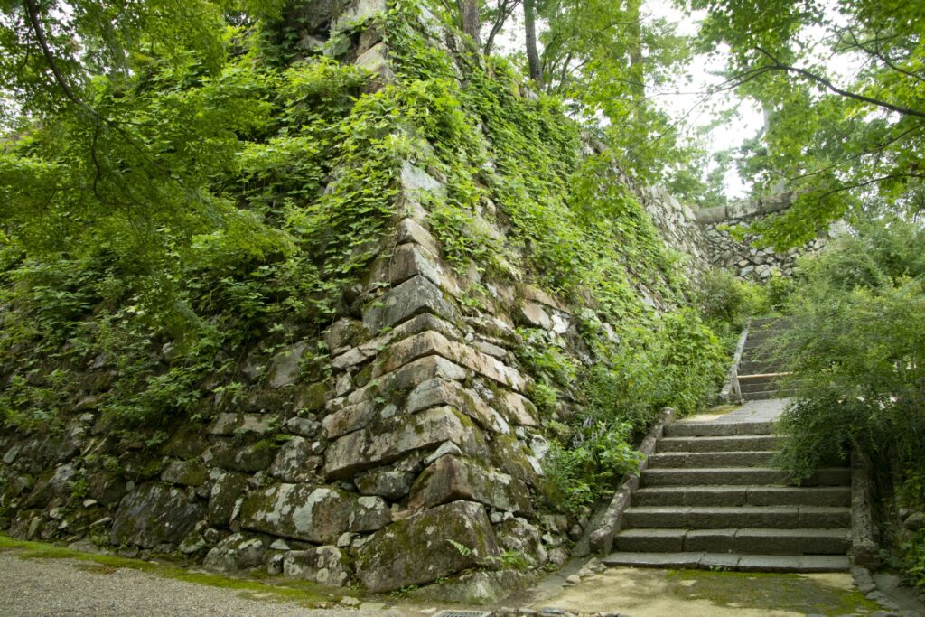 丹波亀山城