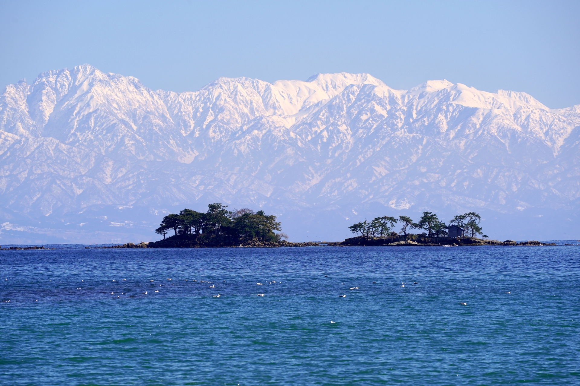 虻ガ島