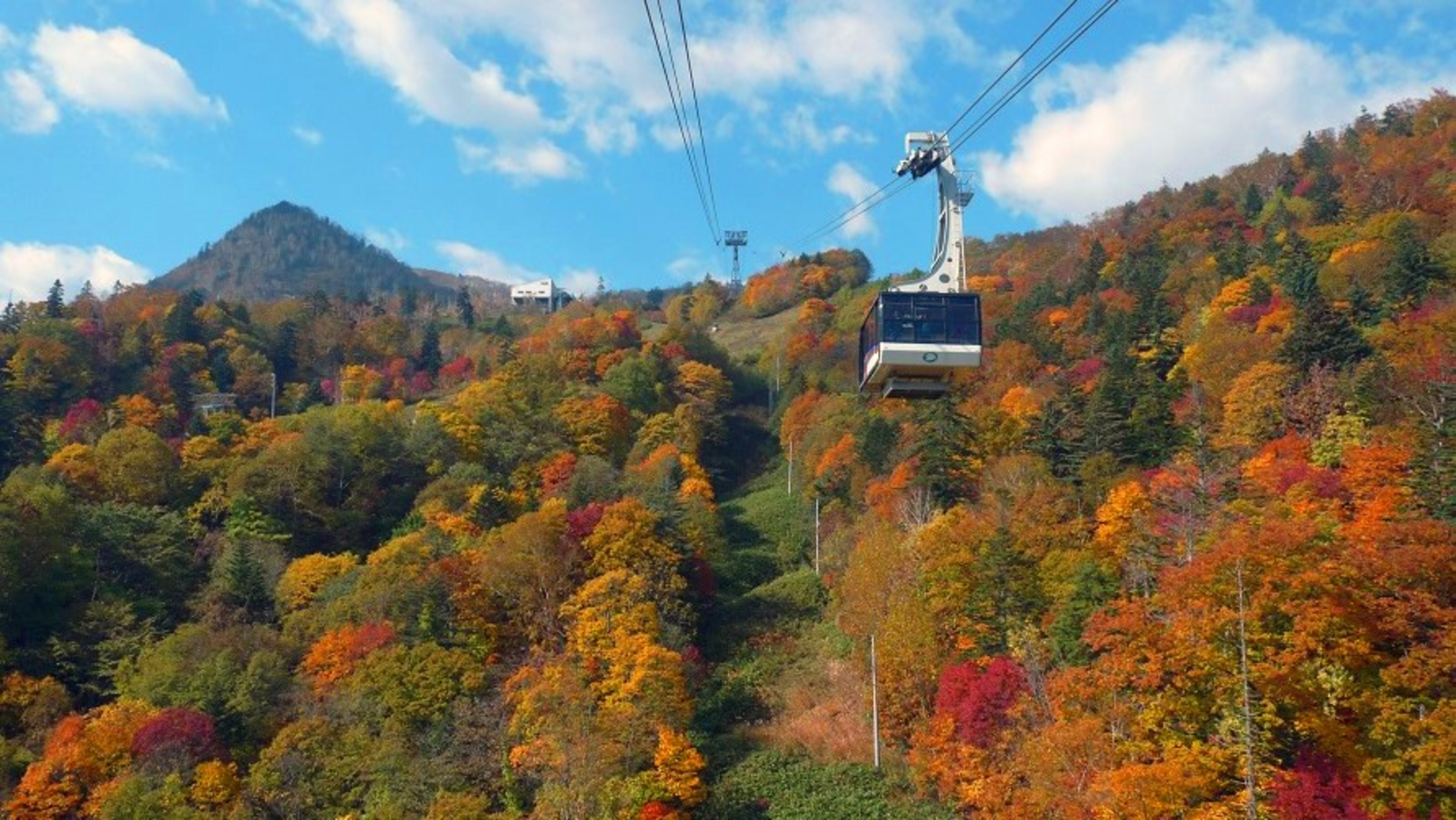 富良野ロープウェー紅葉運行