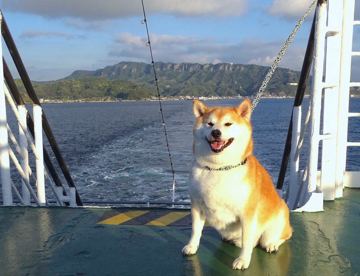 柴犬岳と房総半島横断