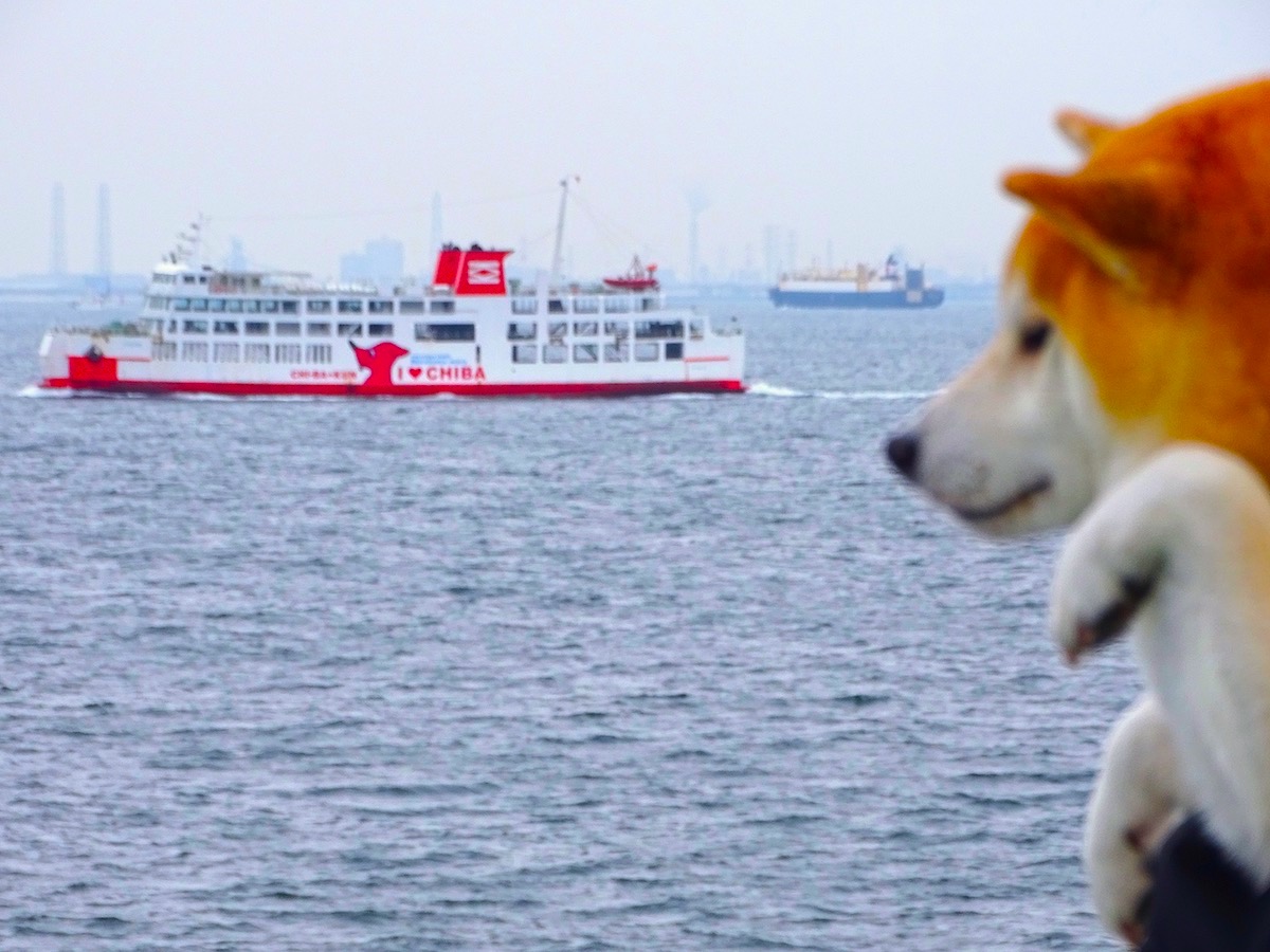 柴犬岳と房総半島横断