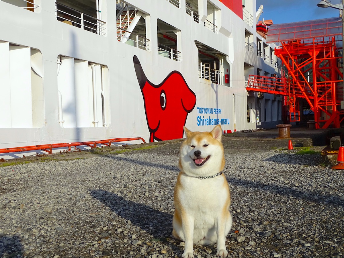 柴犬岳と房総半島横断
