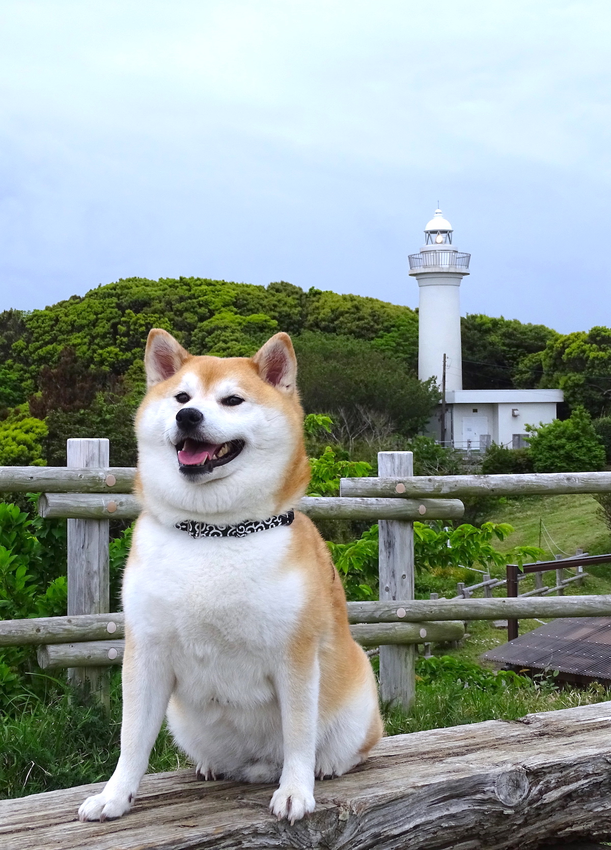 太東埼灯台