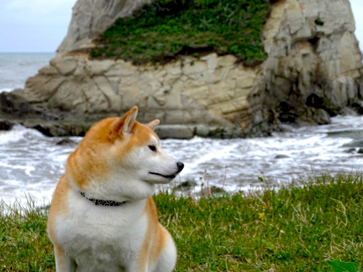 津々ヶ浦