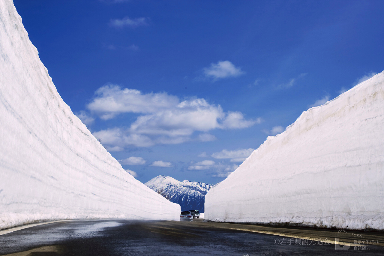 八幡平 雪の回廊