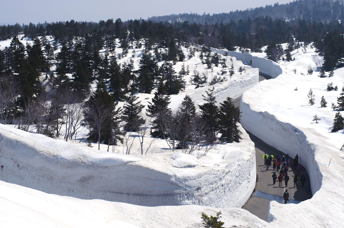 八甲田 雪の回廊