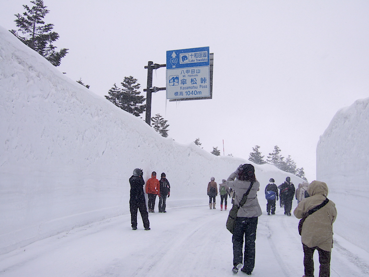 八甲田 雪の回廊