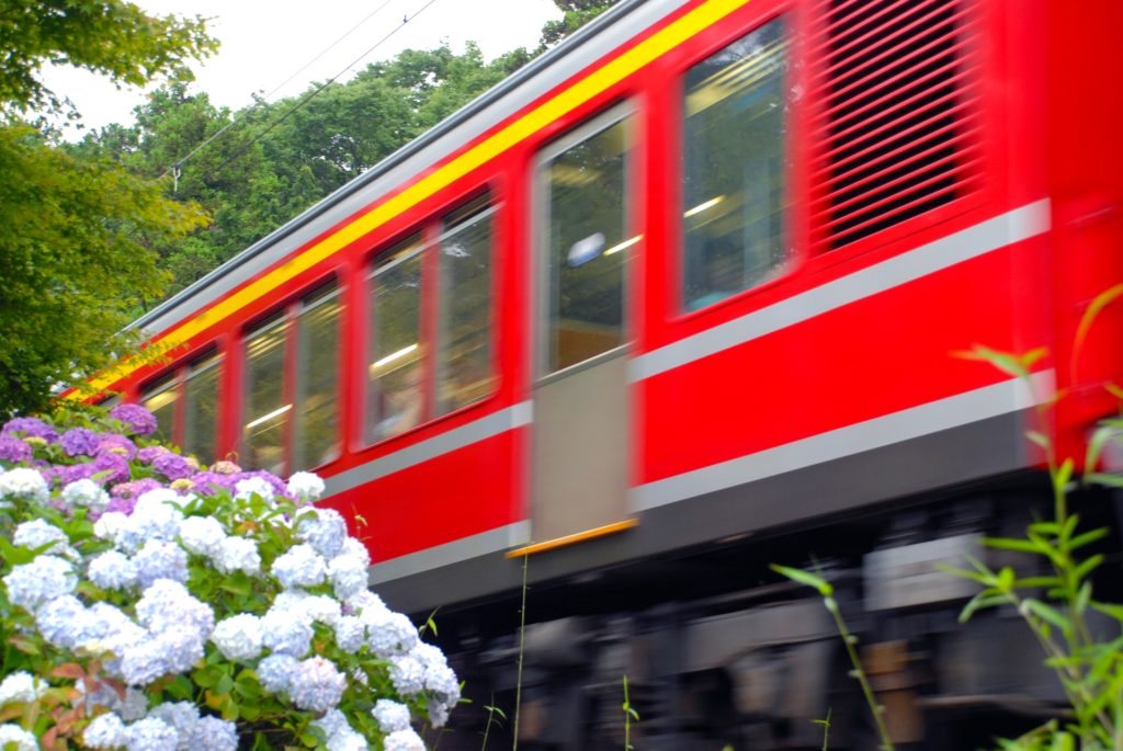 箱根登山鉄道 あじさい電車